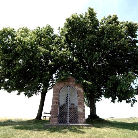 Nideggen-Berg Clemensstock Nideggen-Berg Clemensstock