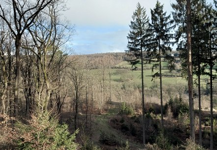 Aussicht Vicht Wald Februar (co) Theißen-Braun Aussicht Vicht Wald Februar (co) Theißen-Braun