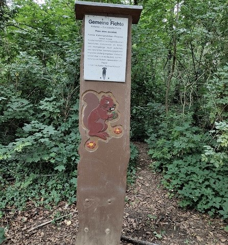 Forstlehrpfad im Wald von Schloss Burgau, © Sophia Eckerle Forstlehrpfad im Wald von Schloss Burgau, © Sophia Eckerle