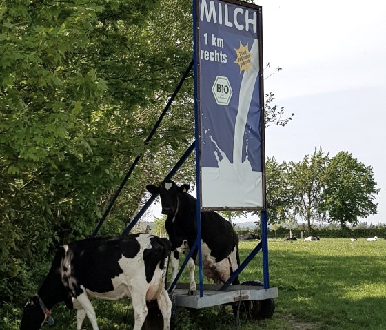 Frische Milch aus dem Milchautomat, © Biohof Beuel Frische Milch aus dem Milchautomat, © Biohof Beuel