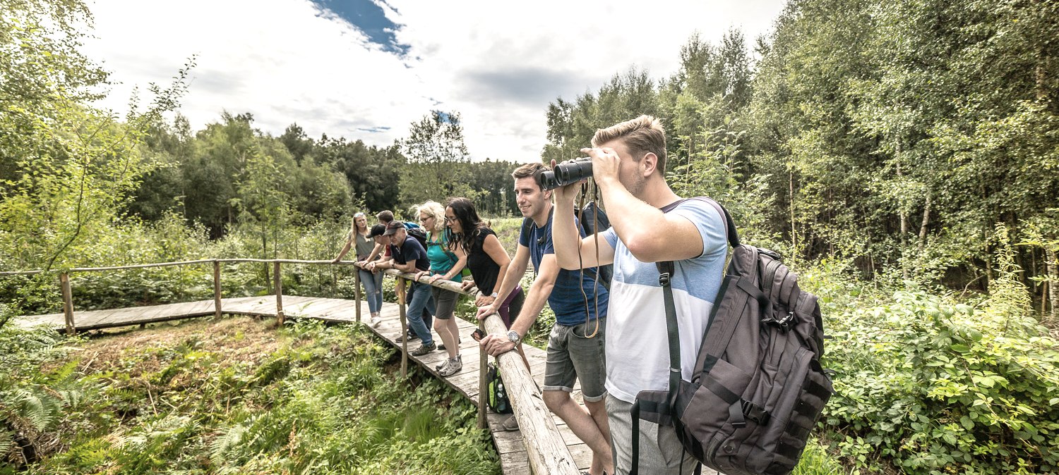 Der 4,5 Kilometer lange Bodenlehrpfad Todtenbruch in Hürtgenwald-Raffelsbrand führt auf circa 700 Metern über Holzbohlen durch ein einzigartiges Hochmoor., © Dennis Stratmann / Kreis Düren Der 4,5 Kilometer lange Bodenlehrpfad Todtenbruch in Hürtgenwald-Raffelsbrand führt auf circa 700 Metern über Holzbohlen durch ein einzigartiges Hochmoor., © Dennis Stratmann / Kreis Düren
