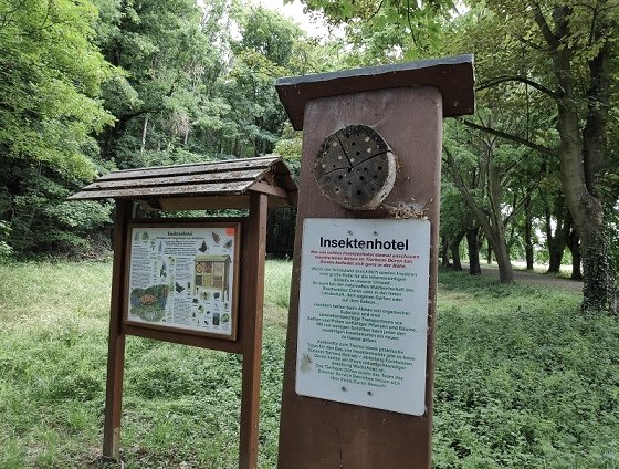 Forstlehrpfad im Wald von Schloss Burgau, © Sophia Eckerle Forstlehrpfad im Wald von Schloss Burgau, © Sophia Eckerle