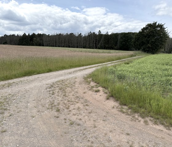 Entlang der Wanderung Nr. 69, © Rureifel-Tourismus e.V., Dennis Winands Entlang der Wanderung Nr. 69, © Rureifel-Tourismus e.V., Dennis Winands