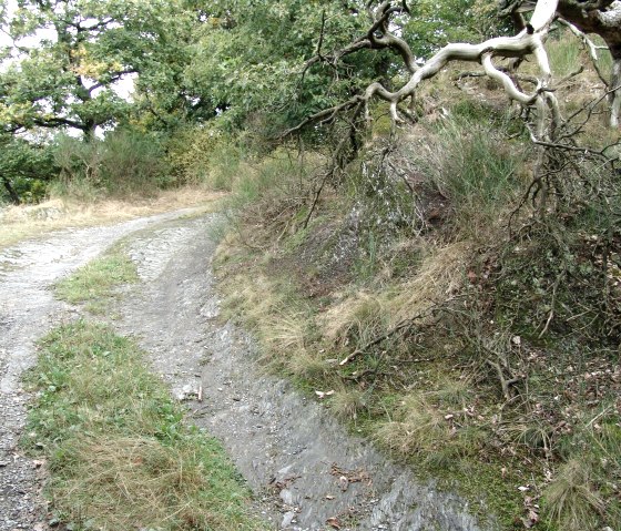 Chemin vers les hauteurs, © Bert van London Chemin vers les hauteurs, © Bert van London