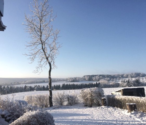 Auch im Winter ein Augenschmauß Auch im Winter ein Augenschmauß