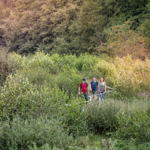 Bodenlehrpfad "Todtenbruch", © Kreis Düren, Dennis Stratmann Bodenlehrpfad "Todtenbruch", © Kreis Düren, Dennis Stratmann