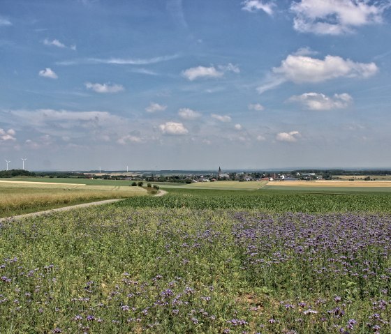 Bördeblick Bördeblick
