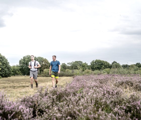 Droverheide, © Dennis Stratmann | Kreis Düren Droverheide, © Dennis Stratmann | Kreis Düren