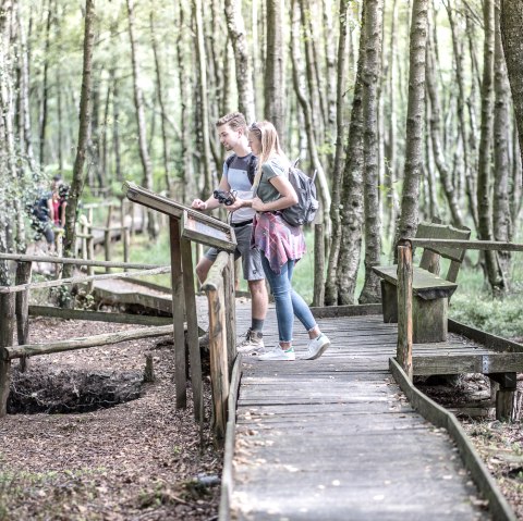 Der 4,5 Kilometer lange Bodenlehrpfad Todtenbruch in Hürtgenwald-Raffelsbrand führt auf circa 700 Metern über Holzbohlen durch ein einzigartiges Hochmoor., © Dennis Stratmann / Kreis Düren Der 4,5 Kilometer lange Bodenlehrpfad Todtenbruch in Hürtgenwald-Raffelsbrand führt auf circa 700 Metern über Holzbohlen durch ein einzigartiges Hochmoor., © Dennis Stratmann / Kreis Düren