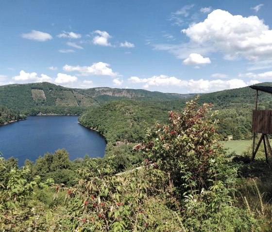 Nationalpark Eifel- Blick auf den Obersee- Einruhr Nationalpark Eifel- Blick auf den Obersee- Einruhr