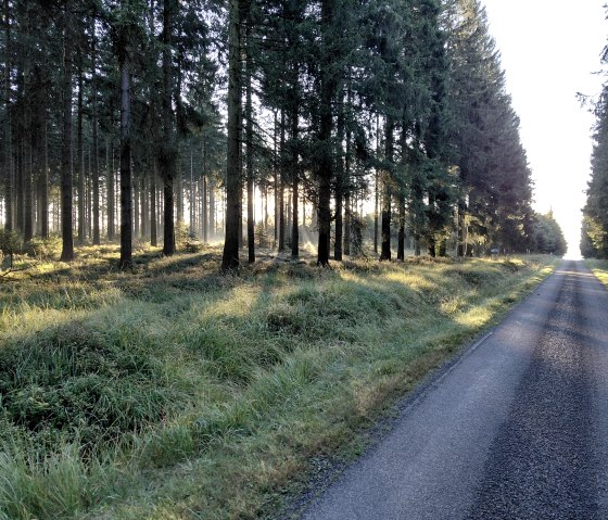 Das Hohe Venn- in der Nähe des Hotel gelegen Das Hohe Venn- in der Nähe des Hotel gelegen