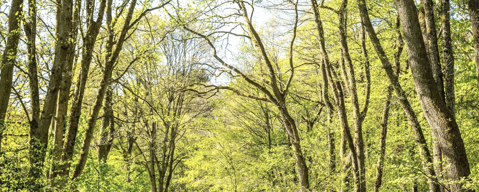 Wanderung, © Städteregion Aachen, Dominik Ketz Wanderung, © Städteregion Aachen, Dominik Ketz