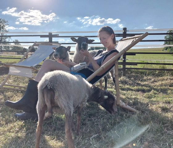 Kuscheln mit Schafen, © Die-Rote-16 Kuscheln mit Schafen, © Die-Rote-16