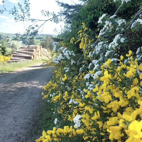 Frühling Aussicht (co) Theißen-Braun Frühling Aussicht (co) Theißen-Braun