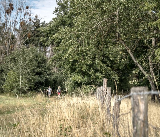 Droverheide, © Dennis Stratmann | Kreis Düren Droverheide, © Dennis Stratmann | Kreis Düren