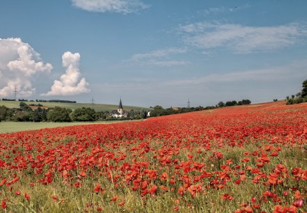 Blick auf Muldenau Blick auf Muldenau