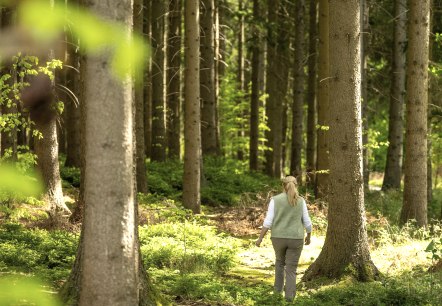 Hubertushütte, © Kupferstadt Stolberg, Dominik Ketz Hubertushütte, © Kupferstadt Stolberg, Dominik Ketz