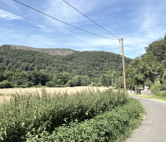 Entlang der Tour, © Rureifel-Tourismus e.V., Michelle Wiesen Entlang der Tour, © Rureifel-Tourismus e.V., Michelle Wiesen