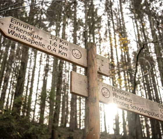 Wildnis-Trail Wegweisung, © Eifel Tourismus GmbH, Dominik Ketz Wildnis-Trail Wegweisung, © Eifel Tourismus GmbH, Dominik Ketz