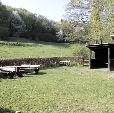 Grillhütte, © Rureifel-Tourismus e.V. Grillhütte, © Rureifel-Tourismus e.V.