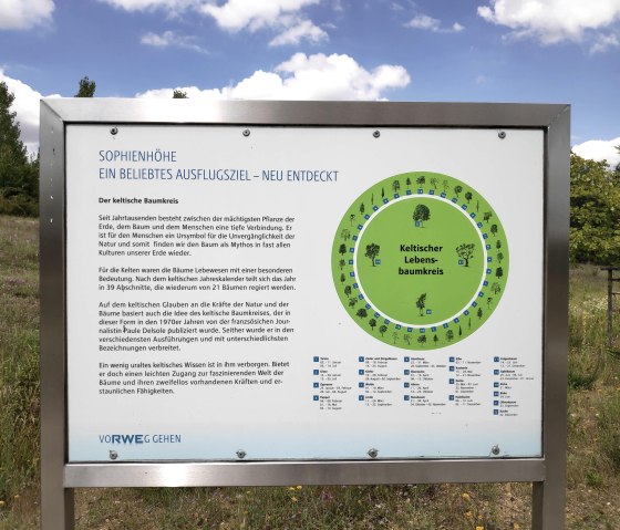 Infotafel Keltischer Baumkreis Sophienhöhe, © Sophia Eckerle | Kreis Düren Infotafel Keltischer Baumkreis Sophienhöhe, © Sophia Eckerle | Kreis Düren