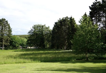 Blick in den Garten Blick in den Garten