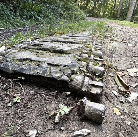 IMG_3696, © Rureifel-Tourismus e.V., Michelle Wiesen IMG_3696, © Rureifel-Tourismus e.V., Michelle Wiesen