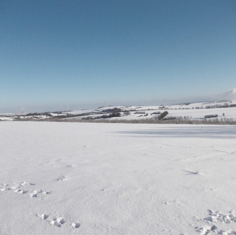 Winterlandschaft, © Eifel heimisch Winterlandschaft, © Eifel heimisch