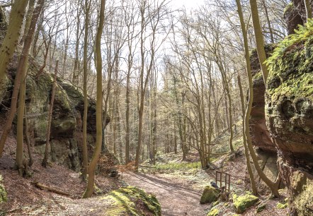 Entdeckungspfad Nideggen - Schüdderfeld, © Rureifel Tourismus GmbH, Jacqueline Niedermeier Entdeckungspfad Nideggen - Schüdderfeld, © Rureifel Tourismus GmbH, Jacqueline Niedermeier