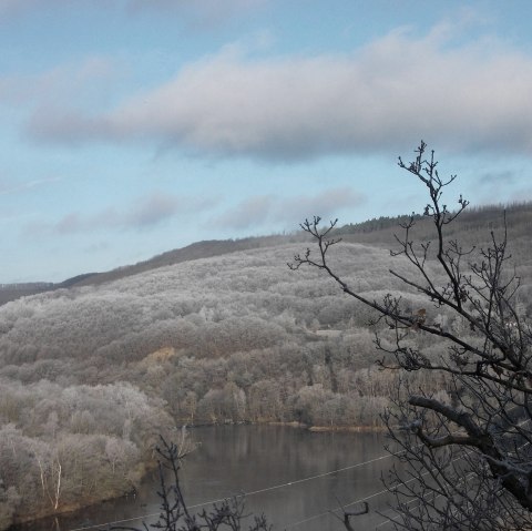 Weitblick, © Eifel heimisch Weitblick, © Eifel heimisch
