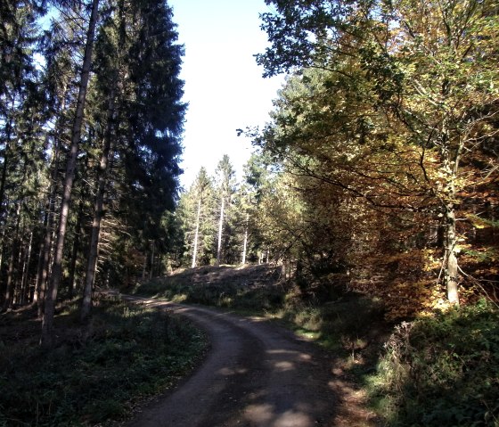 Wanderweg Nr. 46 - Weheschlucht, © Rureifel-Tourismus e.V. Wanderweg Nr. 46 - Weheschlucht, © Rureifel-Tourismus e.V.