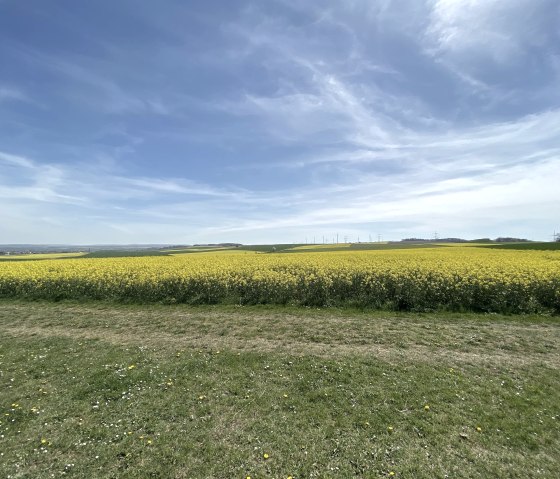 Wollersheimer Bördelandschaft, © Rureifel-Tourismus e.V. Wollersheimer Bördelandschaft, © Rureifel-Tourismus e.V.