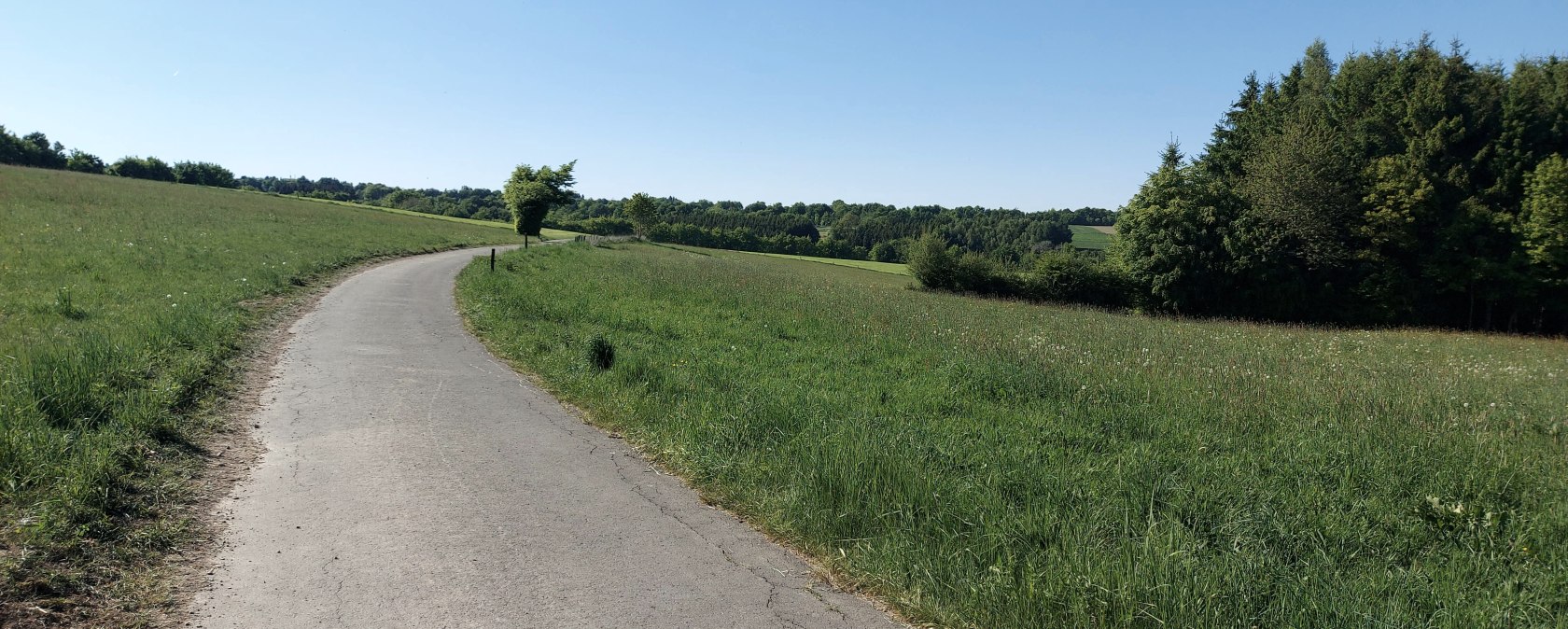 Weisenaussicht Huppenbroich Juli-August (co) Theiß Weisenaussicht Huppenbroich Juli-August (co) Theiß