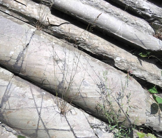 Mullion-Struktur-Felsen (4), © Rursee-Touristik GmbH Mullion-Struktur-Felsen (4), © Rursee-Touristik GmbH