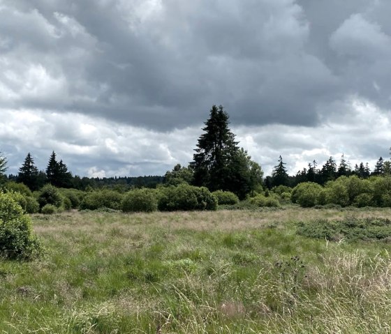 WhatsApp Image 2021-07-11 at 22.42.36 (5) WhatsApp Image 2021-07-11 at 22.42.36 (5)