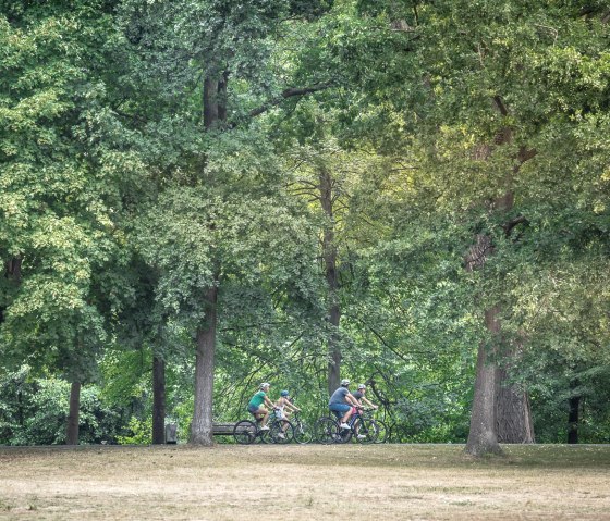 Entlang des RurUfer-Radweges durch den Stadtpark Düren, © Dennis Stratmann | Grünmetropole e.V. Entlang des RurUfer-Radweges durch den Stadtpark Düren, © Dennis Stratmann | Grünmetropole e.V.