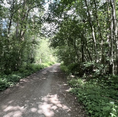 Entlang der Wanderung Nr. 43, © Rureifel-Tourismus e.V., Michelle Wiesen Entlang der Wanderung Nr. 43, © Rureifel-Tourismus e.V., Michelle Wiesen