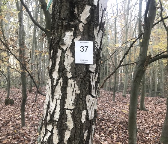 IMG_0148, © Rureifel-Tourismus e.V. IMG_0148, © Rureifel-Tourismus e.V.