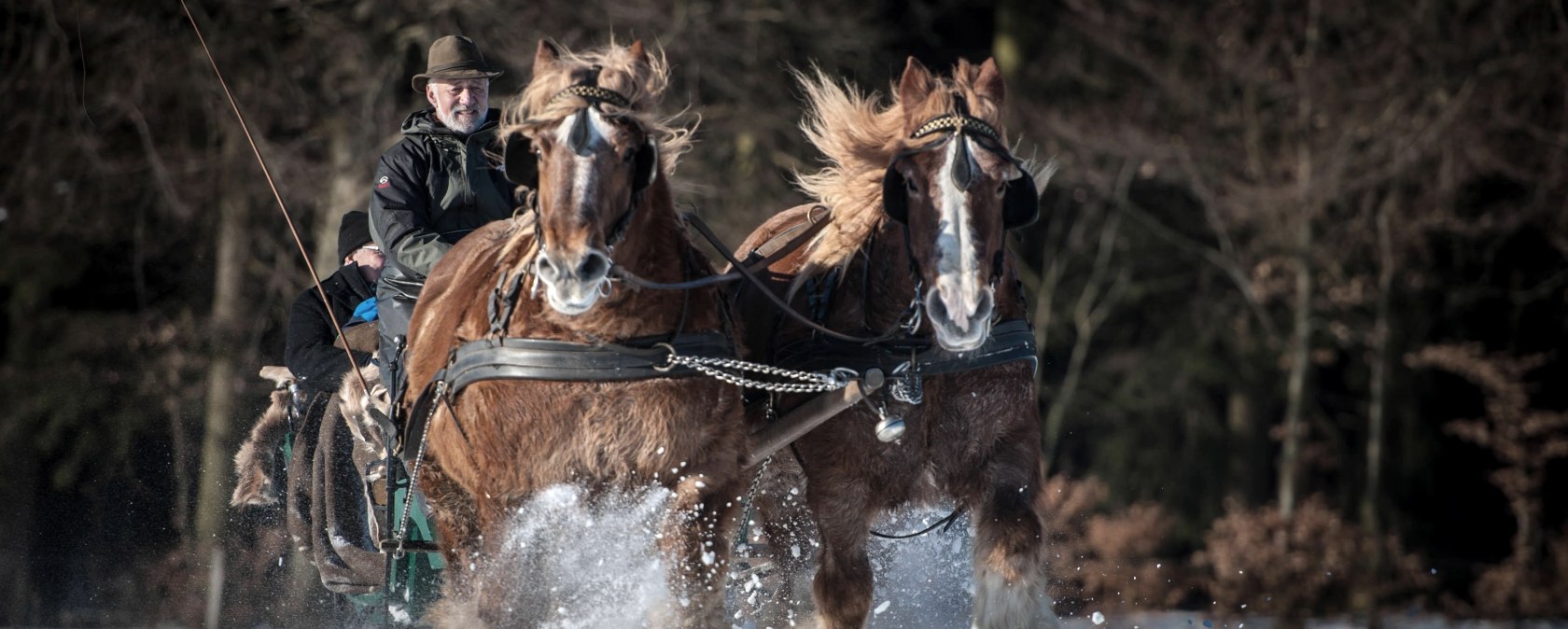 Boerderij, © Akim-Tierfotografie Boerderij, © Akim-Tierfotografie