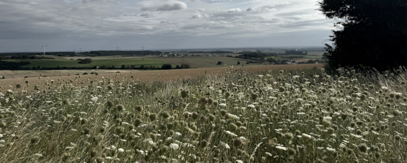 Aussicht, © Rureifel-Tourismus e.V., Dennis Winands Aussicht, © Rureifel-Tourismus e.V., Dennis Winands