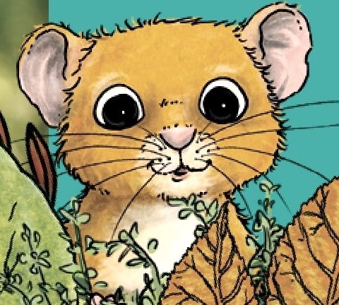 Sophie le muscardin, © RWE Sophie le muscardin, © RWE