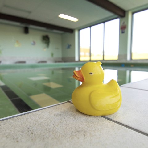 Swimming duck Swimmer's pool, © Gemeinde Simmerath Swimming duck Swimmer's pool, © Gemeinde Simmerath