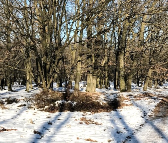 Ein wunderschöner Wintertag Ein wunderschöner Wintertag