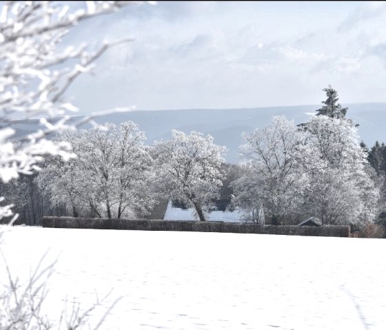 Wunderschöne Aussichten in die Schneelandschaft Wunderschöne Aussichten in die Schneelandschaft