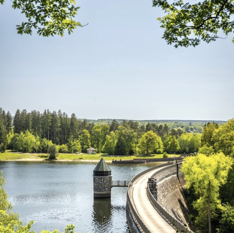 Barrage de Dreilägerbach, © Eifel Tourismus GmbH, Dominik Ketz Barrage de Dreilägerbach, © Eifel Tourismus GmbH, Dominik Ketz