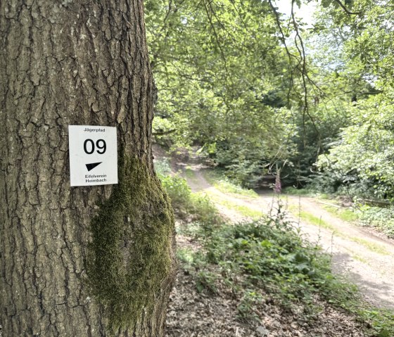 Wegbeschilderung, © Rureifel-Tourismus e.V., Dennis Winands Wegbeschilderung, © Rureifel-Tourismus e.V., Dennis Winands