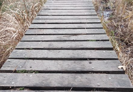 Venn-Stege November (co) Theißen-Braun Venn-Stege November (co) Theißen-Braun