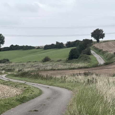 Wollersheimer Mühlenweg, © Rureifel-Tourismus e.V., Michelle Wiesen Wollersheimer Mühlenweg, © Rureifel-Tourismus e.V., Michelle Wiesen