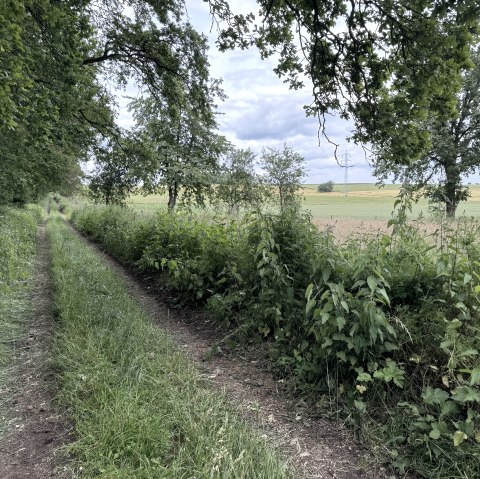 IMG_6551, © Rureifel-Tourismus e.V., Dennis Winands IMG_6551, © Rureifel-Tourismus e.V., Dennis Winands