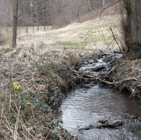 Weidenbachtal, © Eifel heimisch Weidenbachtal, © Eifel heimisch
